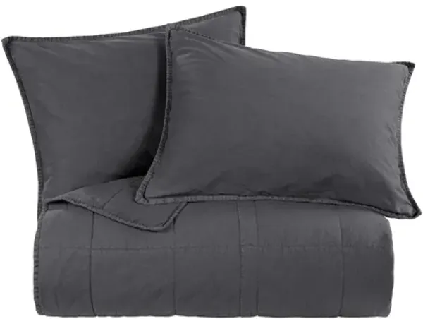 Detwyler 2-pc. Coverlet Set