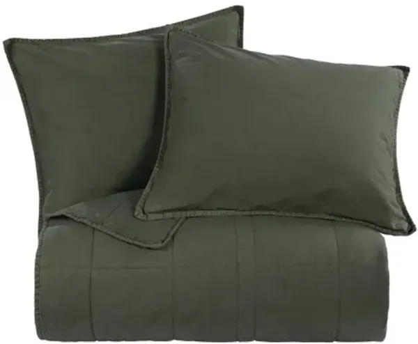 Detwyler 2-pc. Coverlet Set