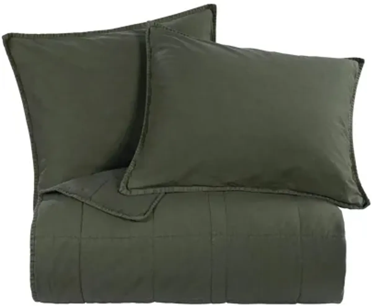 Detwyler 3-pc. Coverlet Set