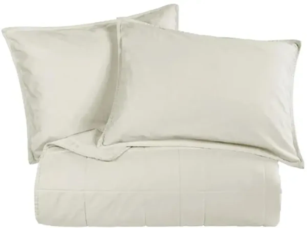 Detwyler 3-pc. Coverlet Set