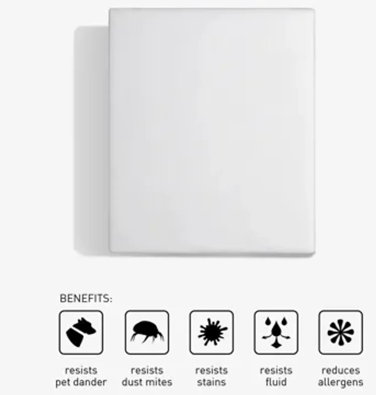 BEDGEAR Performance(R) MattresSkin(R) Mattress Encasement