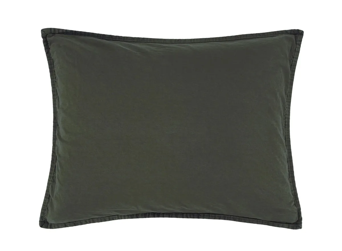 Twombly Pillow Sham in Duffle Bag by HiEnd Accents