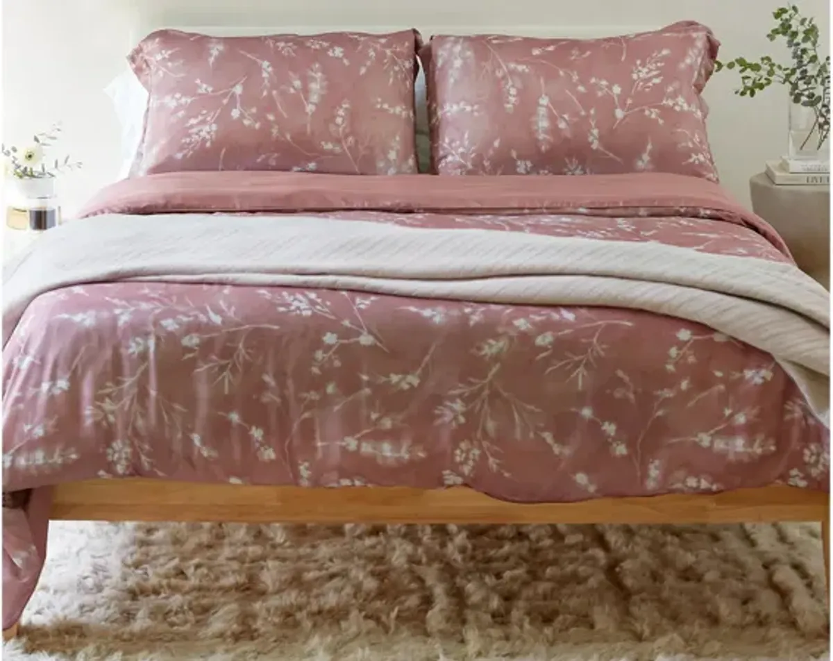 PureCare Floral Press Pillow Sham Set - Euro