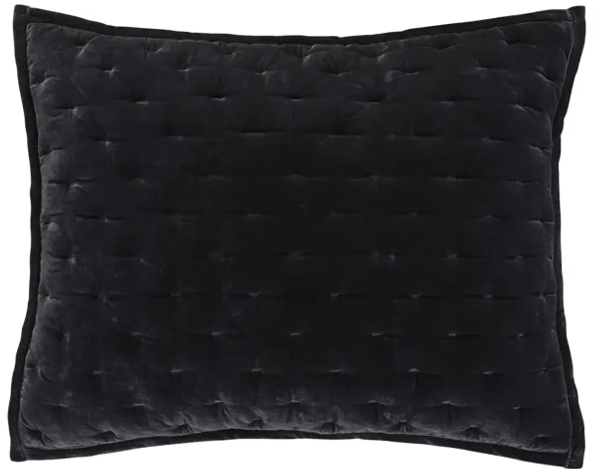 Youngmee Quilted Pillow Sham in Black by HiEnd Accents