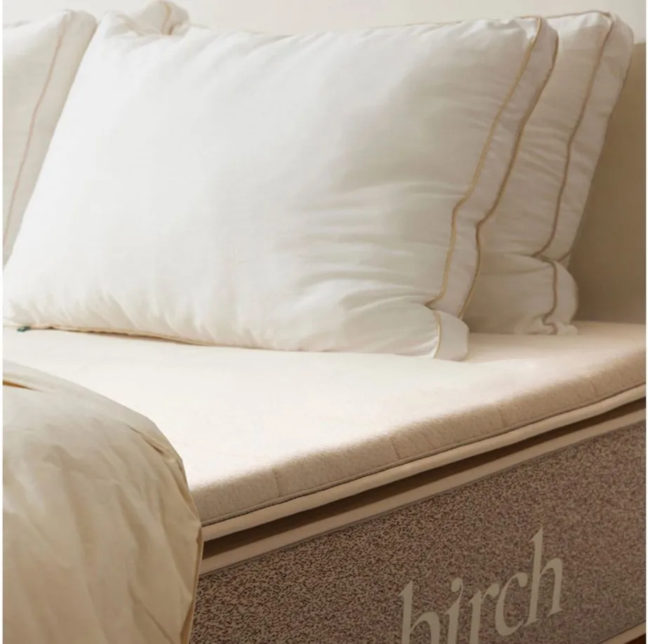 Birch Plush Organic Mattress Topper in Natural by Helix Sleep