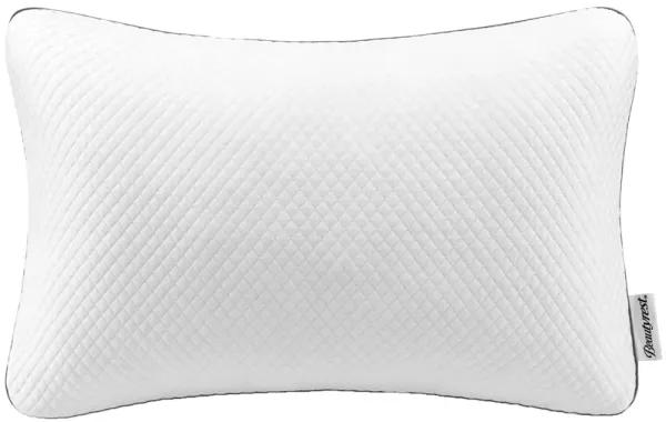 Beautyrest Absolute Relaxation Pillow