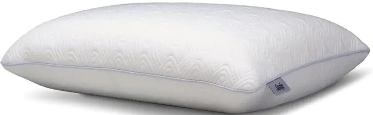 Sealy Conform Performance Memory Foam Standard Pillow