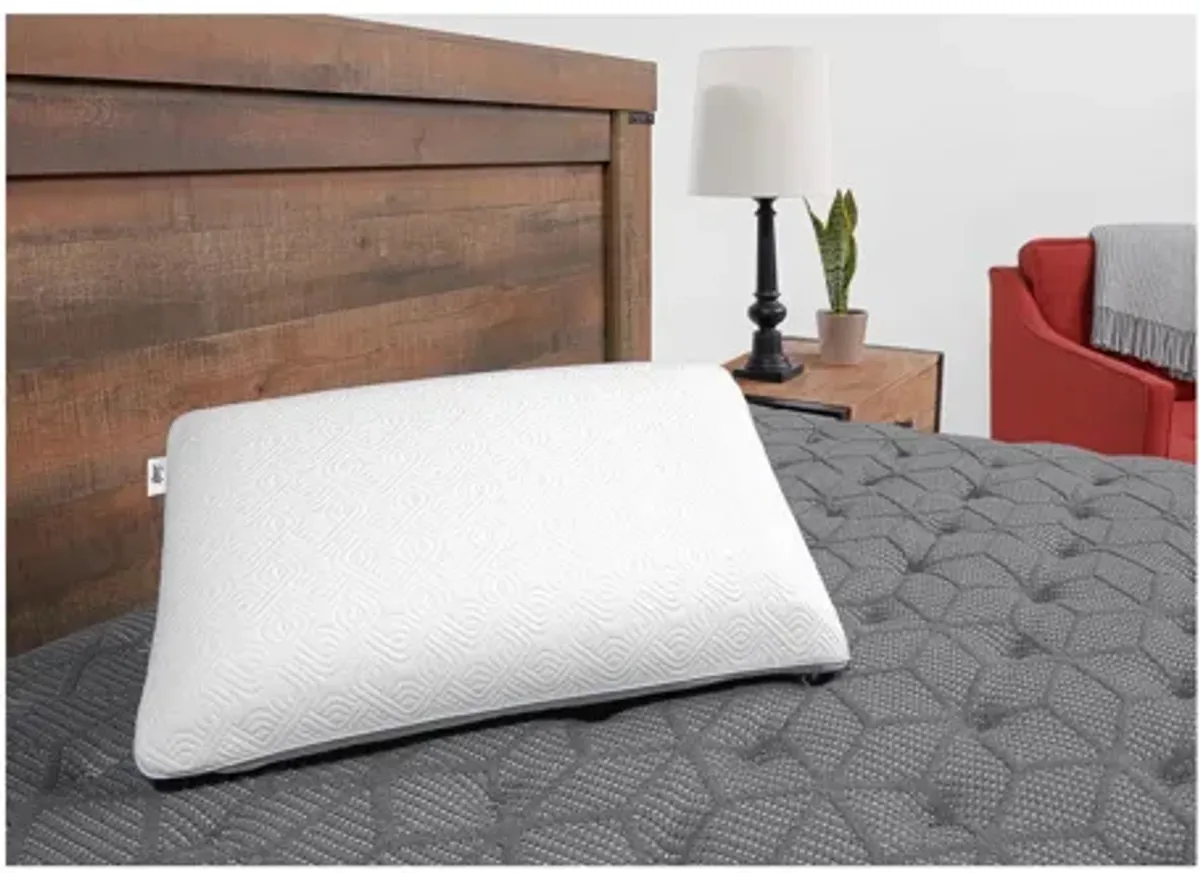 Sealy Conform Performance Memory Foam Standard Pillow