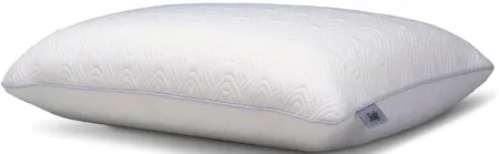 Sealy Conform Performance Memory Foam Standard Pillow in White by Comfort Revolution