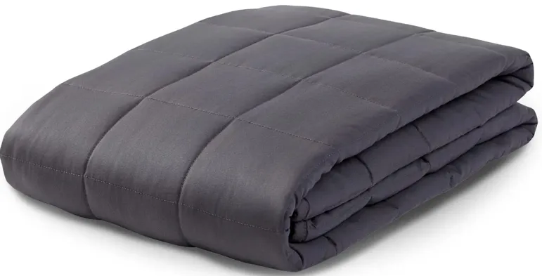 PureCare Zensory 15 lb. Weighted Blanket in Gray by PureCare