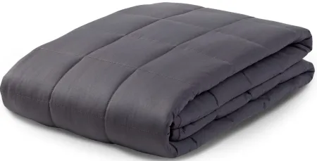 PureCare Zensory 15 lb. Weighted Blanket in Gray by PureCare