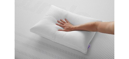 Purple Cloud Pillow by Purple Innovation