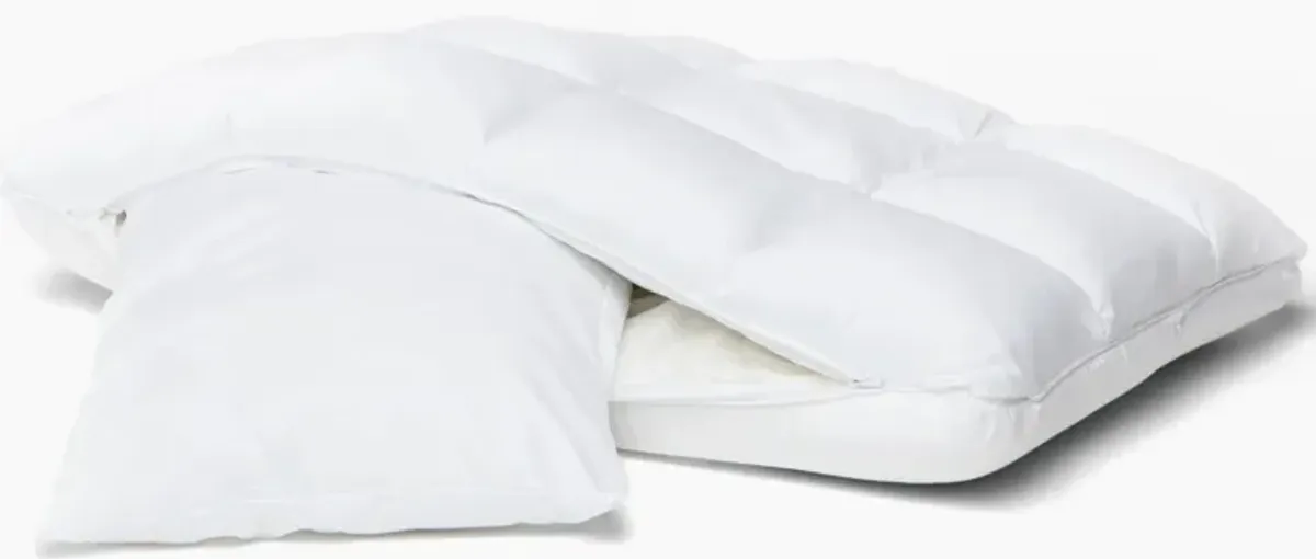 PureCare Cooling SoftCell Chill Latex Pillow - Standard