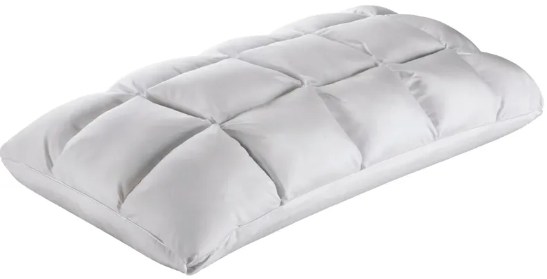 PureCare Cooling SoftCell Chill Latex Pillow - Standard in White by PureCare