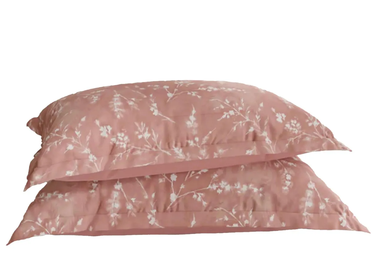 PureCare Floral Press Pillow Sham Set in Floral Press Ash Rose by PureCare