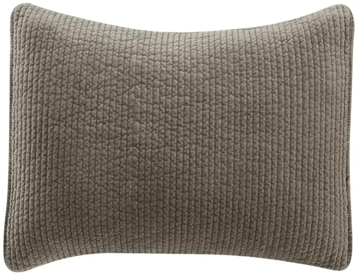 Stonewashed Cotton Velvet Quilted Pillow Sham in Taupe by HiEnd Accents