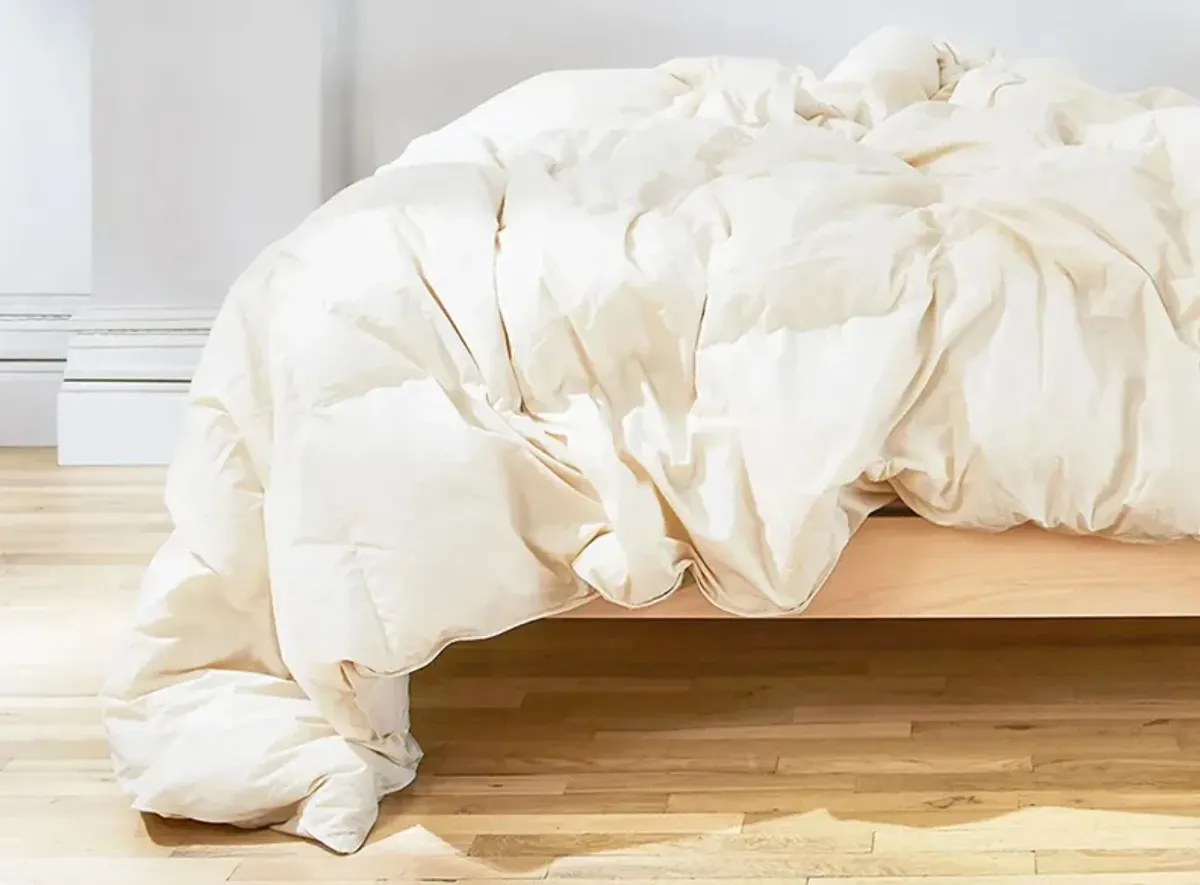 Birch Natural Down Duvet Insert