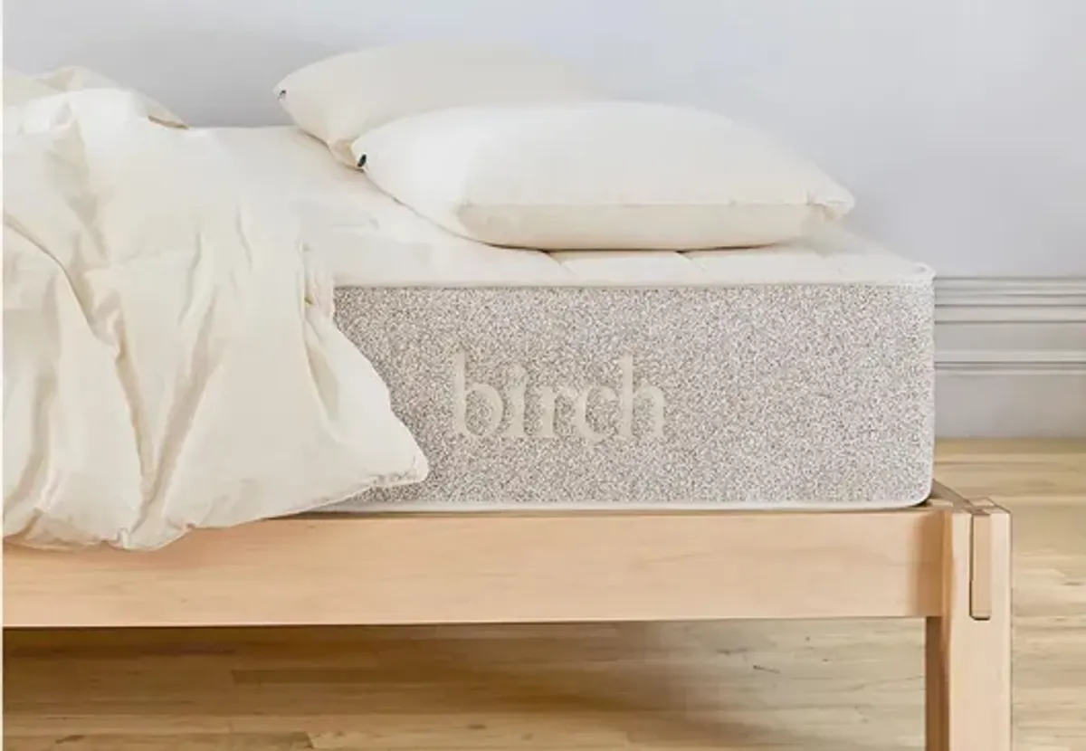 Birch Organic Pillow