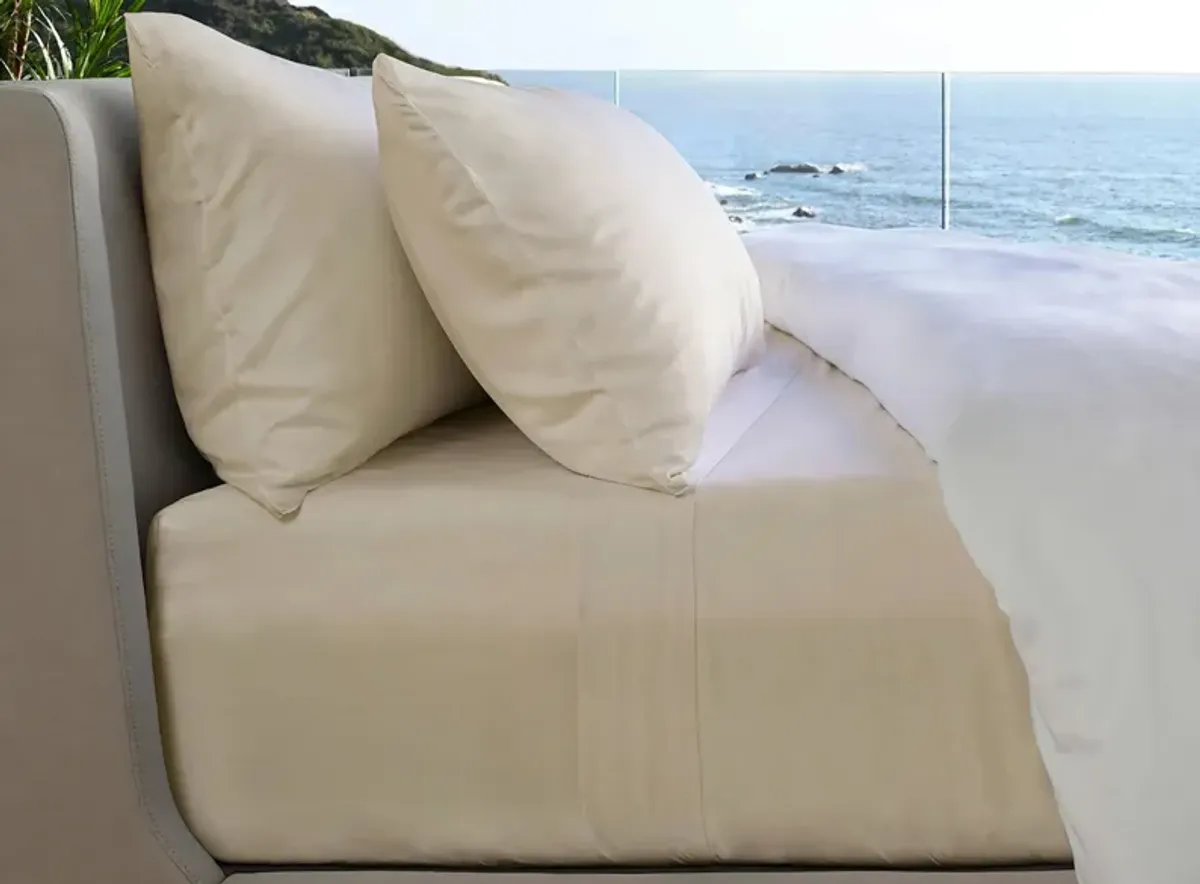 Cariloha Resort Bamboo Sheet Set in Coconut Milk by Cariloha