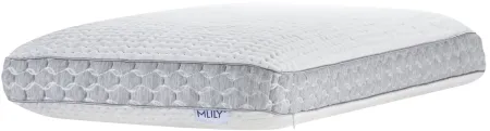 BioRelax Pillow 5" Medium(Single) in White by Mlily USA,