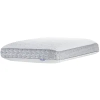 BioRelax Pillow 6" Thick (Single) in White by Mlily USA,