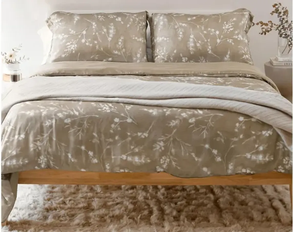 PureCare Floral Press Pillow Sham Set