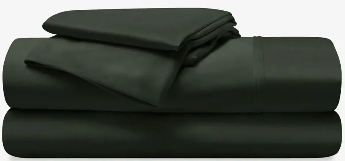 BEDGEAR Dri-Tec Sheet Set in Forest Green by Bedgear