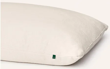 Birch Organic Pillow in Natural by Helix Sleep