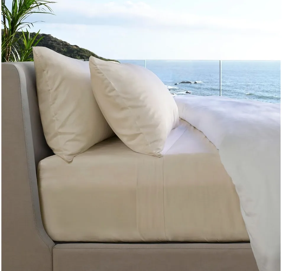 Cariloha Resort Bamboo Sheet Set in Coconut Milk by Cariloha