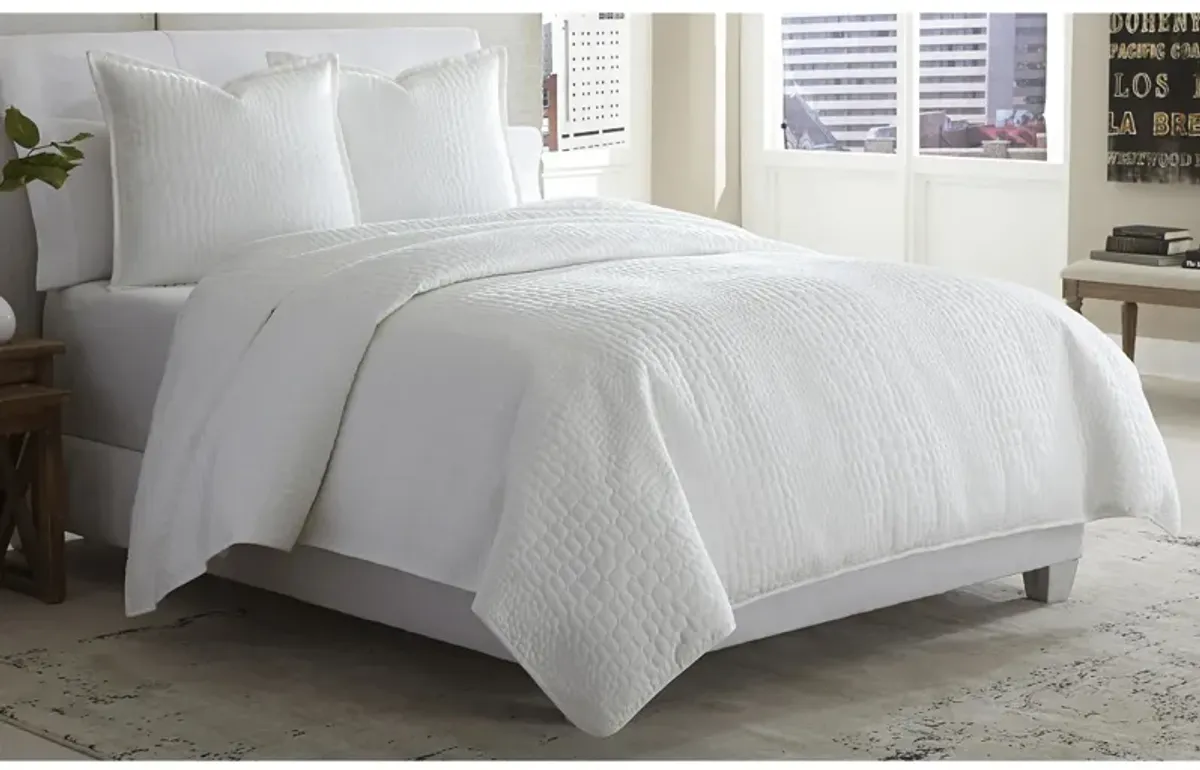 Ashworth 3-Pc. Duvet Set