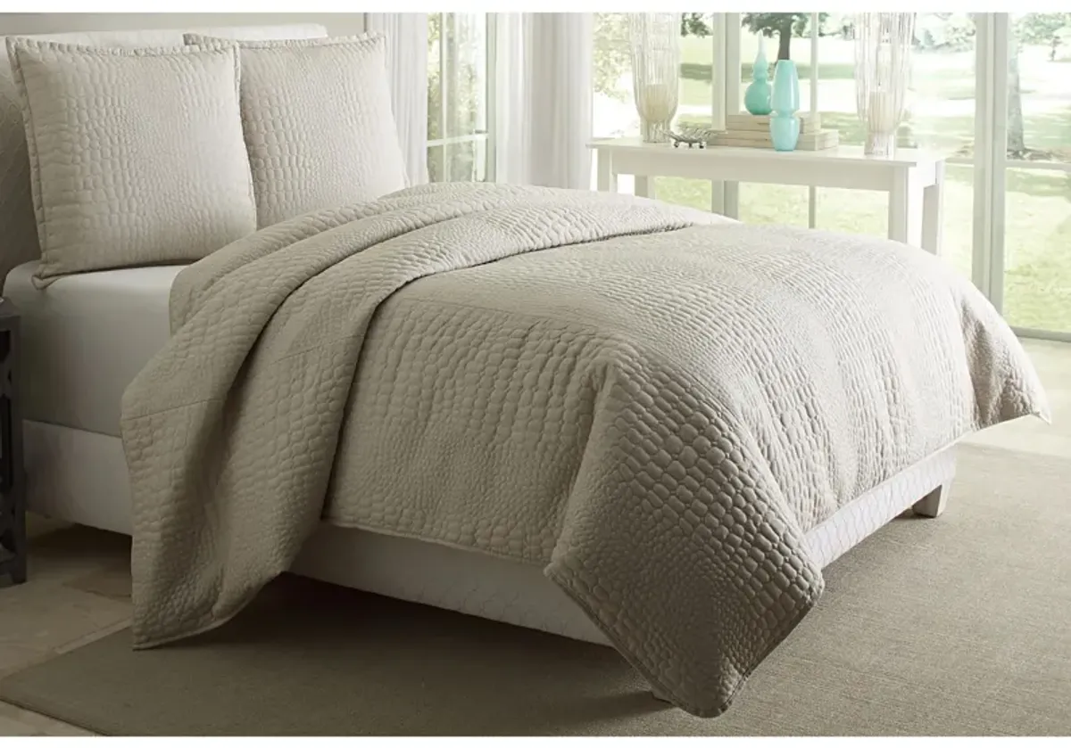 Dash 3-Pc. Duvet Set in Natural by Amini Innovation