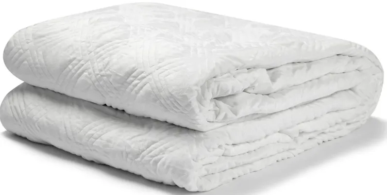 The Hush Classic 35 lbs. Blanket with Duvet Cover in White by Hush Blankets