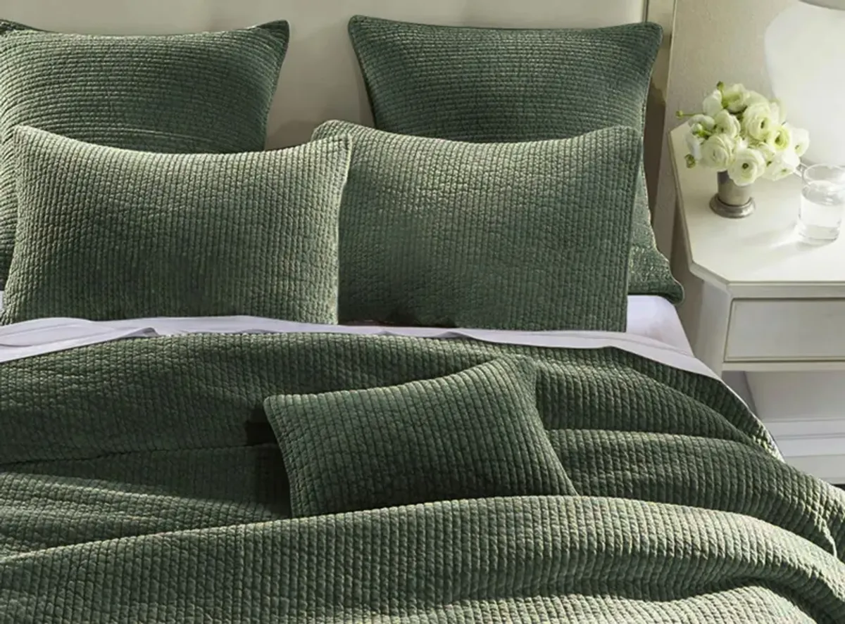 Stonewashed Cotton Velvet 3pc. Quilt Set