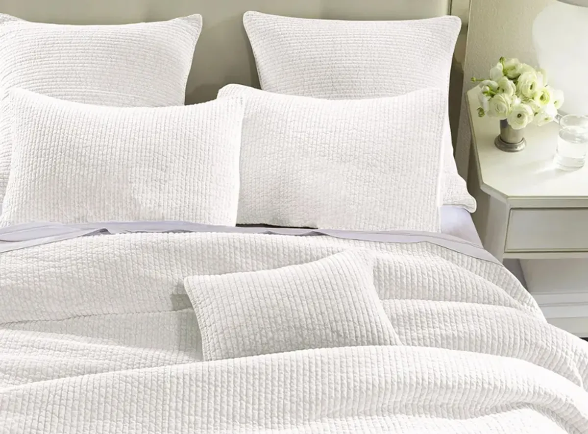 Stonewashed Cotton Velvet 3-pc. Quilt Set