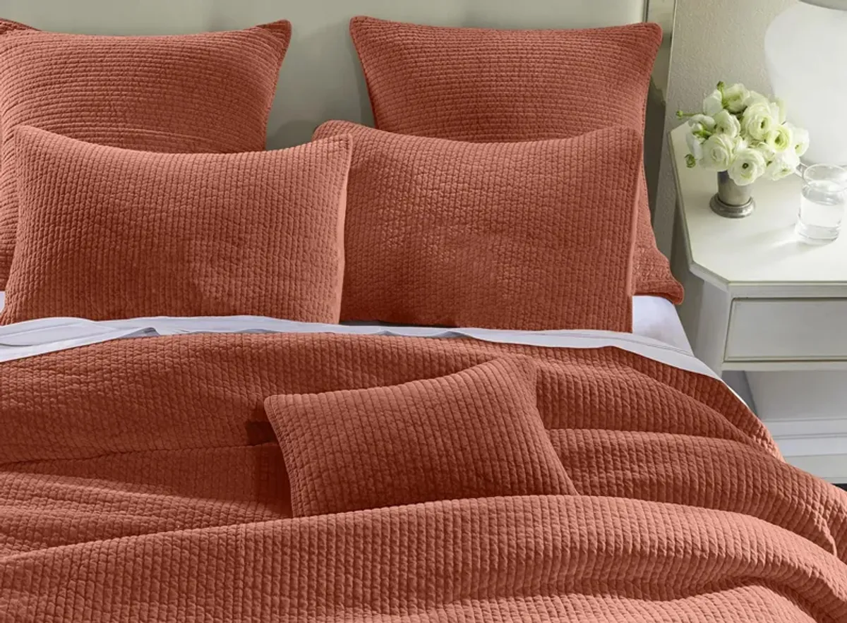 Stonewashed Cotton Velvet 3-pc. Quilt Set