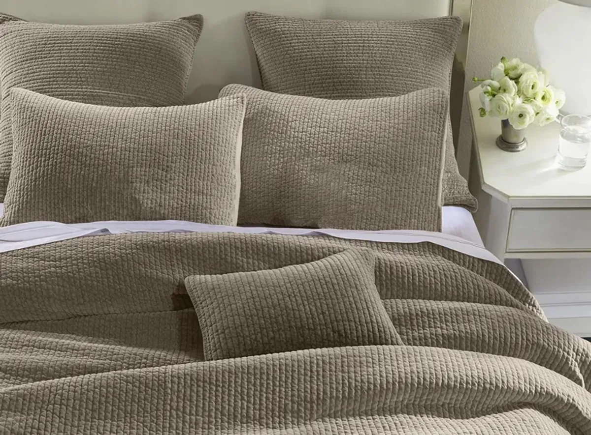 Stonewashed Cotton Velvet 3pc. Quilt Set in Taupe by HiEnd Accents