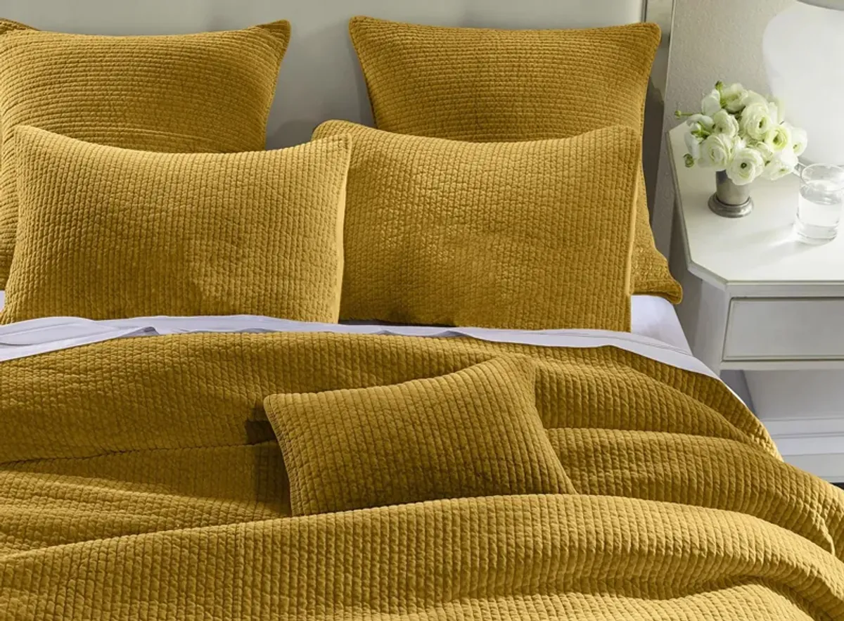 Stonewashed Cotton Velvet 3-pc. Quilt Set