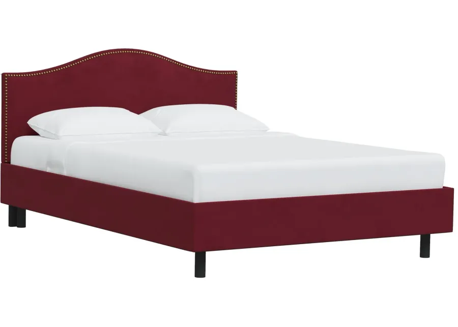 Alexander Platform Bed in Velvet Berry by Skyline