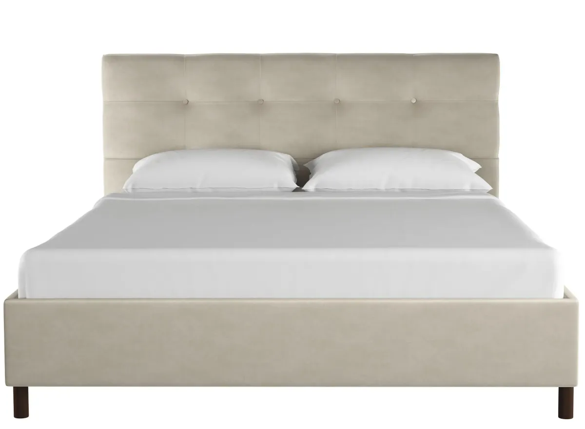 Nathan Platform Bed in Premier Platinum by Skyline