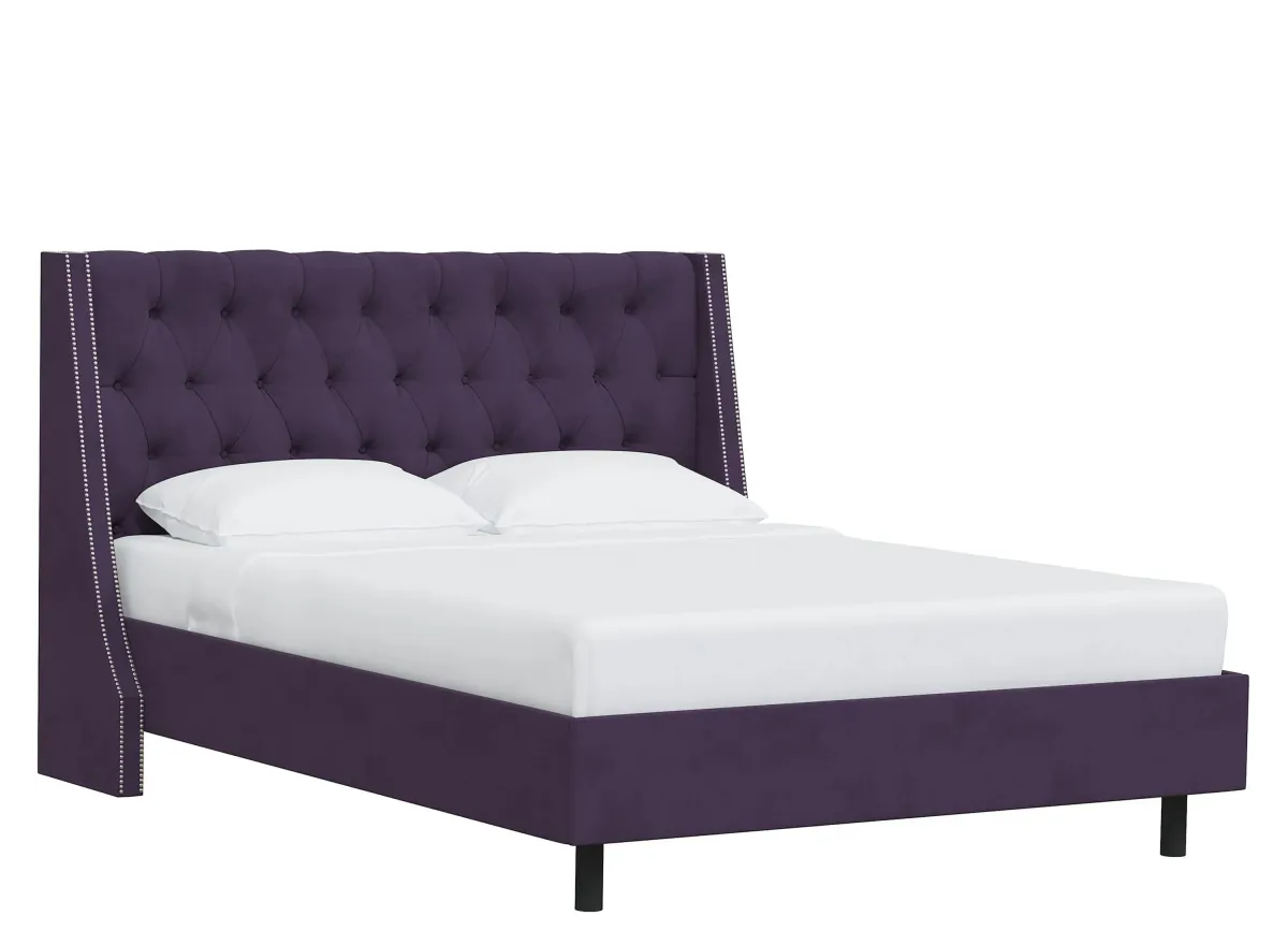 Sheridan Wingback Platform Bed in Velvet Aubergine by Skyline