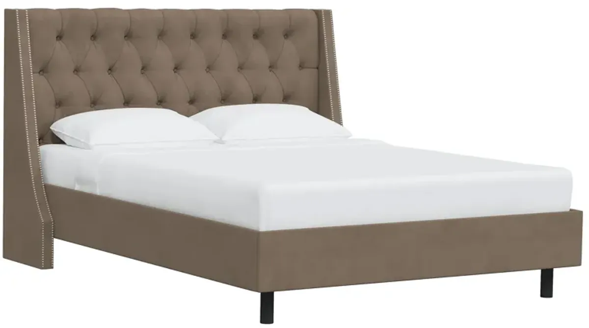 Sheridan Wingback Platform Bed in Velvet Cocoa by Skyline