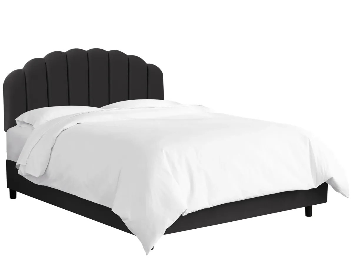 Tanner Bed in Velvet Black by Skyline