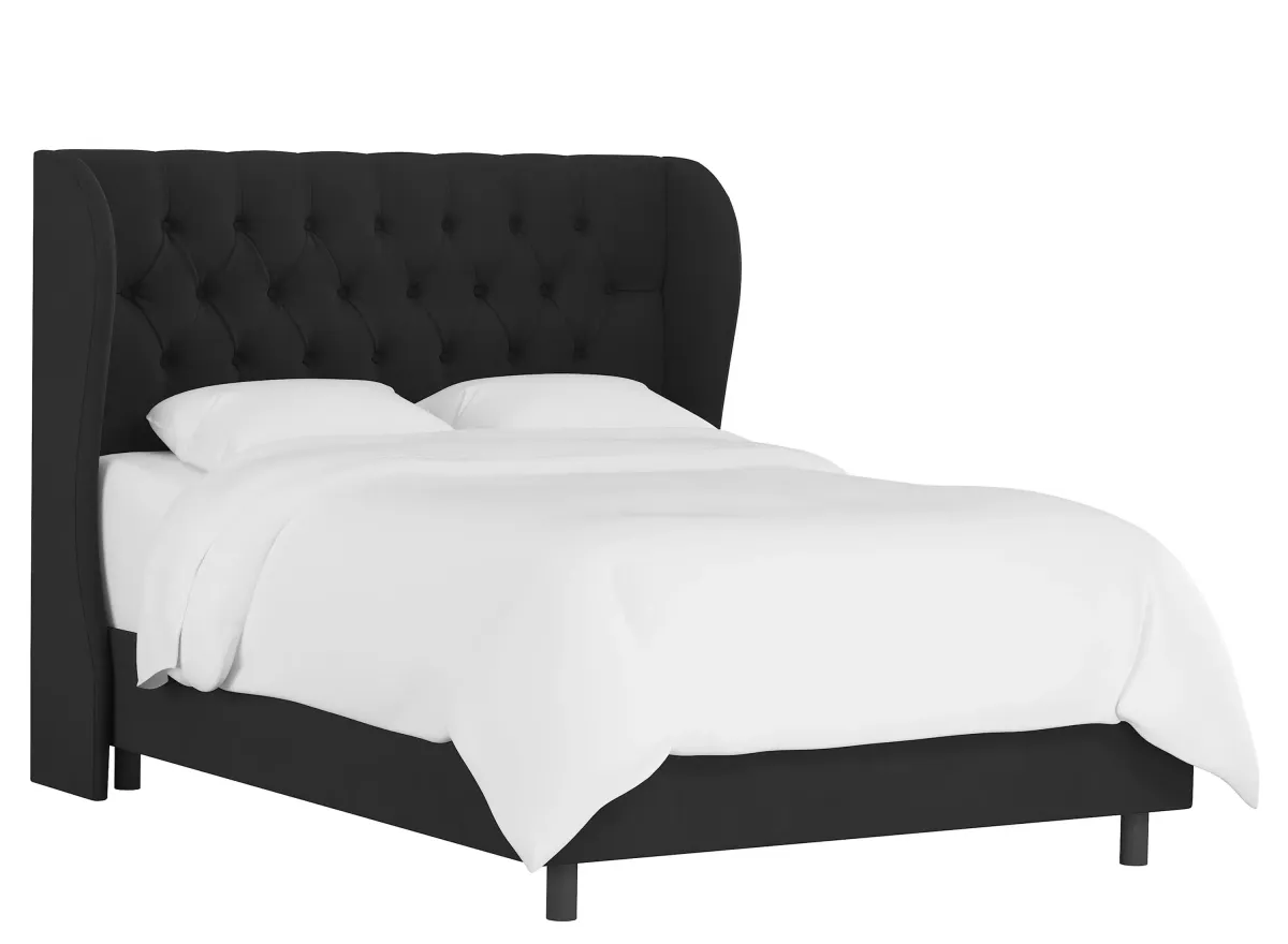 Thayer Wingback Bed in Velvet Black by Skyline