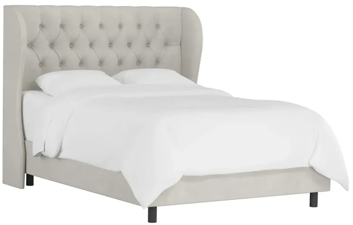 Thayer Wingback Bed in Velvet Light Gray by Skyline