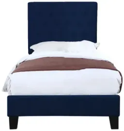 Navy color