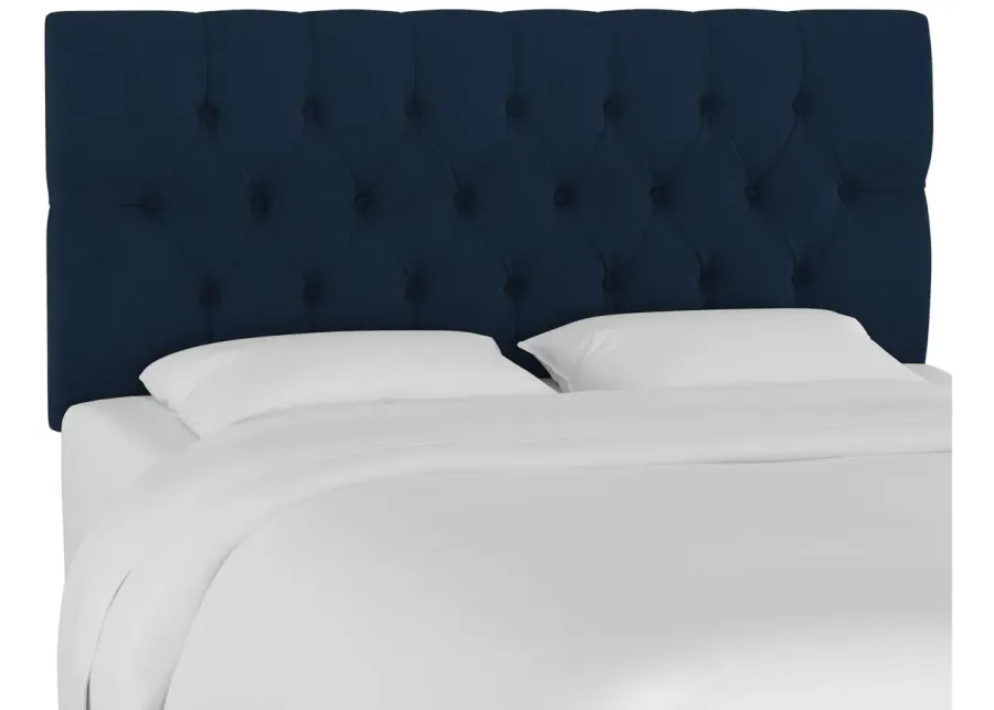 Blanchard Headboard in Velvet Ink by Skyline