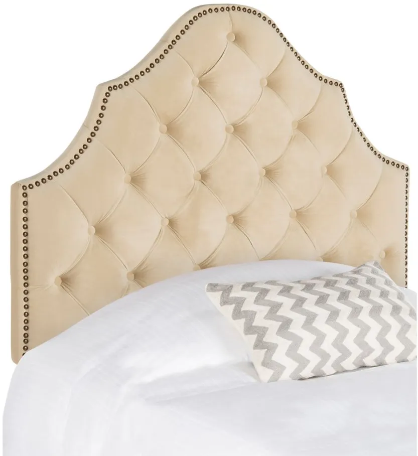 Arebelle Upholstered Headboard in Buckwheat by Safavieh