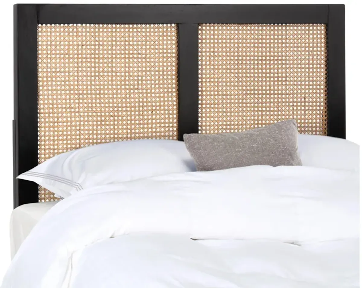 Vienna Cane Mounted Headboard in Black by Safavieh