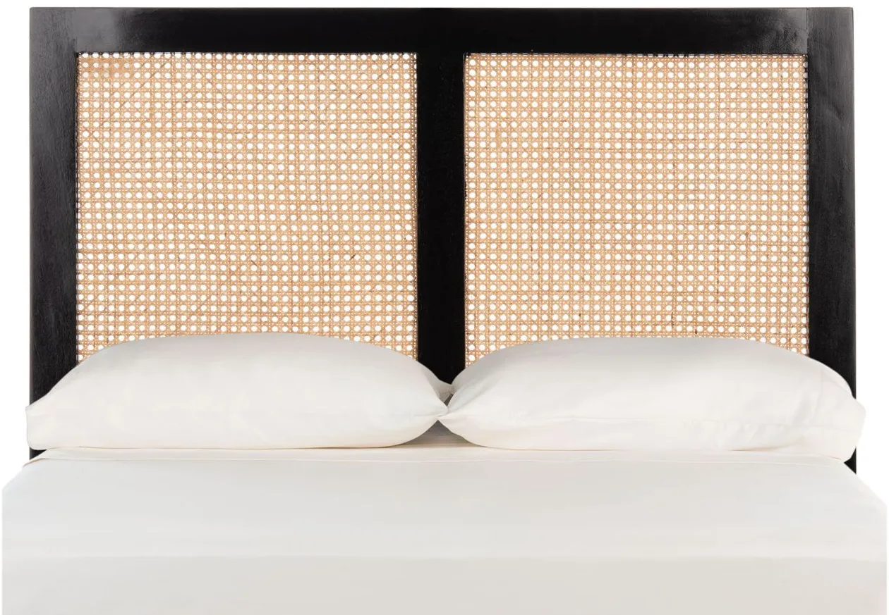 Vienna Cane Mounted Headboard in Black by Safavieh