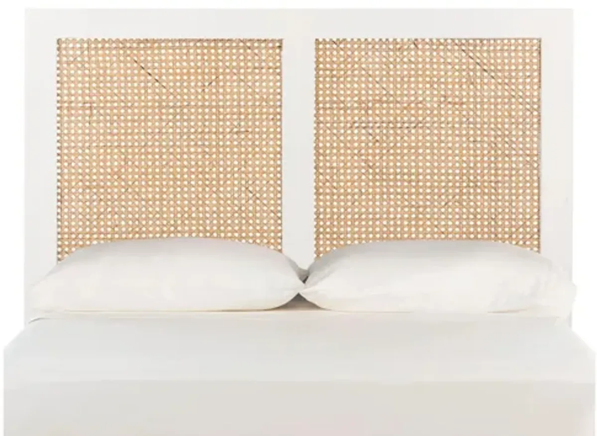 Vienna Cane Mounted Headboard